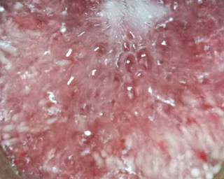 Susu Cendol Mutiara - Step 1