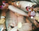 Hình bước làm 1 của món Bún kèn