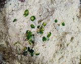 A picture of step 2 of Soya Square parantha.