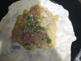 Martabak telur