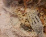 Foto del paso 1 de la receta: Rollitos de carne sabrosos