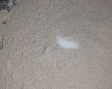 A picture of step 2 of Bajra Roti.