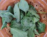 Foto del paso 5 de la receta: Espesado de quintonil (Espesado de yua shiti)