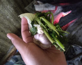 Foto del paso 4 de la receta: Tlayuda oaxaqueña