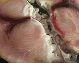 Foto del paso 2 de la receta: Pez espada a la plancha con “picaeta”, en 15’
