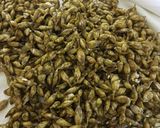 Foto del passaggio 1 della ricetta Germogli di Aglio Orsino Sott'olio