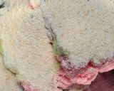 Foto del paso 10 de la receta 168. Hamburguesas de pollo