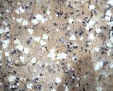 Foto del paso 8 de la receta Skillet Cookie