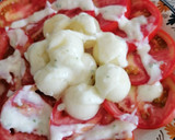 Foto del paso 6 de la receta: Ensalada de melón, tomate y salsa de yogurt