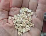 Foto del paso 8 de la receta: Porridge salado 🥣 de avena fermentada y huevos duros o cocidos 🥣