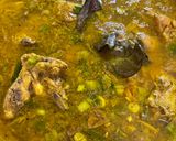 Foto langkah ke 3 dari resep Soto Ayam Resep Mama.