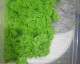 Foto langkah ke 5 dari resep Tape Ketan Pandan (ide jualan).
