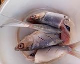 Foto langkah ke 1 dari resep Pelas Ikan Bandeng.