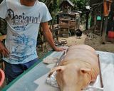 Foto del paso 10 de la receta: Lechona campesina