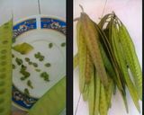 Foto langkah ke 1 dari resep Sambel Petai Cina.