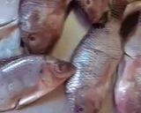 A picture of step 1 of Tilapia grilled fish.