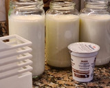 Foto del paso 1 de la receta: Yogurt natural casero muy fácil