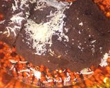Foto langkah ke 6 dari resep Bolu coklat keju.