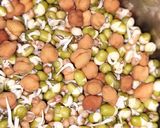 કઠોળ ભેળ (Kathol Bhel Recipe In Gujarati) રેસીપી સ્ટેપ1ફોટો