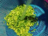 Tumis Kangkung Bunga Pepaya