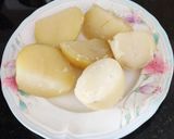 A picture of step 1 of Potato 65.