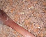 Foto del paso 2 de la receta: Budín de zapallo italiano fácil