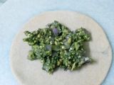 Spicy sprout moong parantha