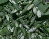 Foto langkah ke 2 dari resep Tumis Daun Katuk.