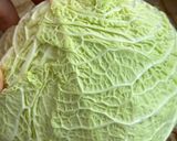 Hình bước làm 2 của món Bánh Gạo Ức Gà Xào Kim Chi & Bắp Cải Nhăn