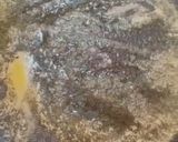 Une image de l'étape 5 de Grilled cheese.