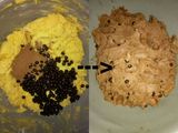 Cookies Chocolate Crispi
