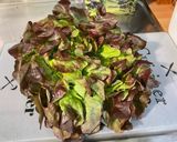 Une image de l'étape 1 de Feuille de chêne aux pignons, oignon rouge et leicester bleu.