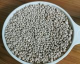 รูปขั้นตอนการทำที่ 3 ของ สาคูเปียกถั่วดำ (สาคูต้น)