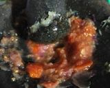 Foto langkah ke 3 dari resep Telur balado.