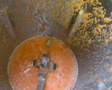 Foto del paso 1 de la receta: Batido de melón con zanahoria y agua de coco en Thermomix