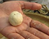 A picture of step 6 of Orange Sandesh.