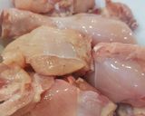 A picture of step 1 of White Korma.