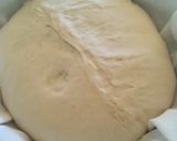 Kovászvekker recept fázis 2 fotója