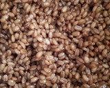 Foto del paso 2 de la receta: Galletas de cebada cocida en cerveza