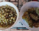 Szőlő befőtt recept fázis 1 fotója