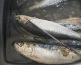 Foto del paso 1 de la receta: Sardinas a la plancheta con morrón verde