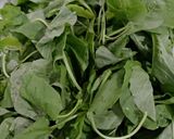 Foto langkah ke 1 dari resep Sayur Bening Bayam & Labu Siam.