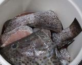 Foto langkah ke 1 dari resep Palumara Ikan Kerapu.
