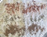 ચીઝી લોડૅડ નાચોસ (Cheesy Loaded Nachos recipe in Gujarati) રેસીપી સ્ટેપ1ફોટો