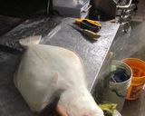 A picture of step 1 of Flounder Fillet.