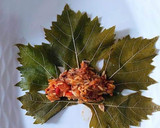Foto del paso 11 de la receta: Hojas de Parra rellenas de carne picada con menta y cítricos