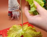 A picture of step 3 of 🎄 Edible Christmas Tree with Lettuce — No-Cook Holiday Appetizer.