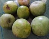 Foto langkah ke 1 dari resep Mango Jam (Selai Mangga).