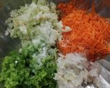 A picture of step 1 of Veg manchurian.