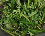 Foto langkah ke 1 dari resep 380. Kangkung Teri Nasi Bumbu Kencur.